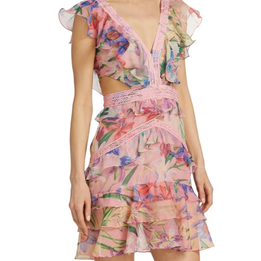 **SOLD PatBO Iris Floral Ruffle Mini Dress NWT